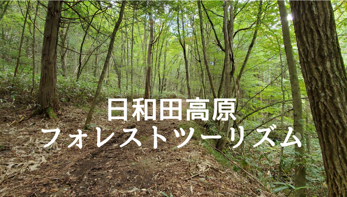 日和田高原フォレストツーリズム